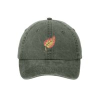 Pigment Dyed Cap Thumbnail