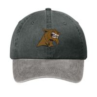 Two Tone Pigment Dyed Cap Thumbnail