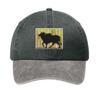 Two Tone Pigment Dyed Cap Thumbnail