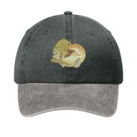Two Tone Pigment Dyed Cap Thumbnail