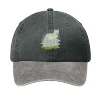 Two Tone Pigment Dyed Cap Thumbnail