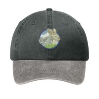 Two Tone Pigment Dyed Cap Thumbnail