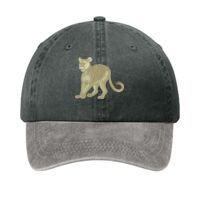 Two Tone Pigment Dyed Cap Thumbnail