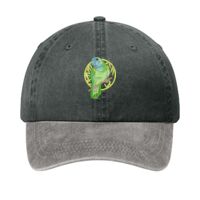 Two Tone Pigment Dyed Cap Thumbnail