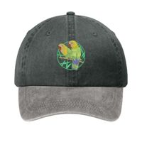 Two Tone Pigment Dyed Cap Thumbnail