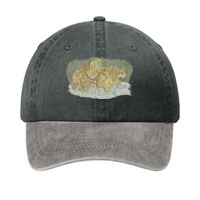 Two Tone Pigment Dyed Cap Thumbnail