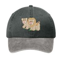 Two Tone Pigment Dyed Cap Thumbnail