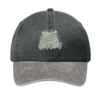 Two Tone Pigment Dyed Cap Thumbnail