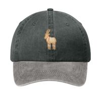 Two Tone Pigment Dyed Cap Thumbnail