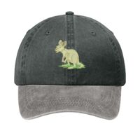Two Tone Pigment Dyed Cap Thumbnail