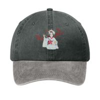 Two Tone Pigment Dyed Cap Thumbnail