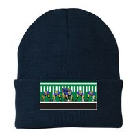 Knit Cap Thumbnail