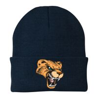 Knit Cap Thumbnail