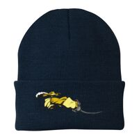 Knit Cap Thumbnail