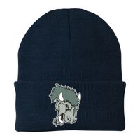 Knit Cap Thumbnail