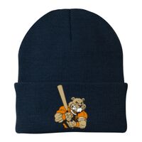 Knit Cap Thumbnail