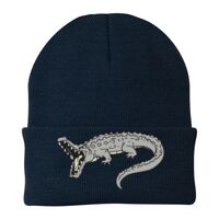 Knit Cap Thumbnail