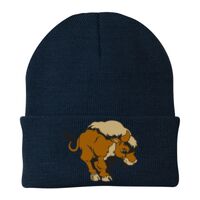 Knit Cap Thumbnail