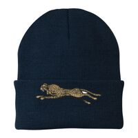 Knit Cap Thumbnail