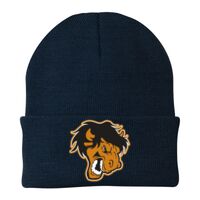 Knit Cap Thumbnail