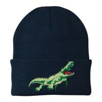 Knit Cap Thumbnail