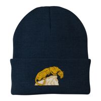 Knit Cap Thumbnail