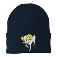 Knit Cap Thumbnail