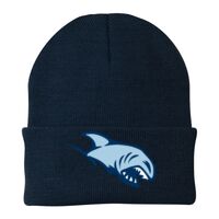 Knit Cap Thumbnail