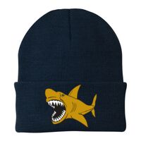 Knit Cap Thumbnail