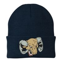 Knit Cap Thumbnail