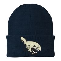 Knit Cap Thumbnail