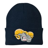 Knit Cap Thumbnail