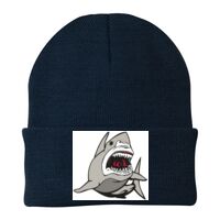 Knit Cap Thumbnail