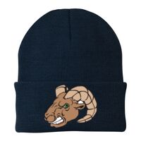 Knit Cap Thumbnail