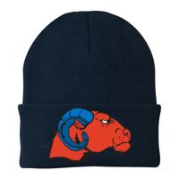 Knit Cap Thumbnail