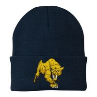 Knit Cap Thumbnail