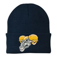 Knit Cap Thumbnail