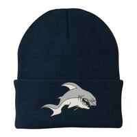 Knit Cap Thumbnail
