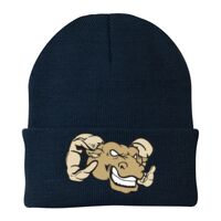 Knit Cap Thumbnail