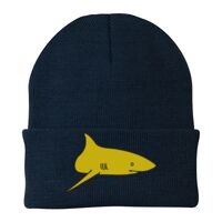 Knit Cap Thumbnail