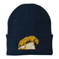 Knit Cap Thumbnail