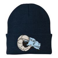 Knit Cap Thumbnail