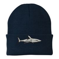 Knit Cap Thumbnail