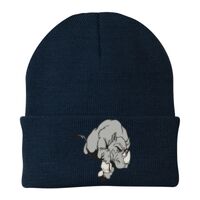 Knit Cap Thumbnail