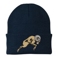 Knit Cap Thumbnail