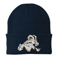 Knit Cap Thumbnail