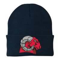 Knit Cap Thumbnail