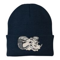 Knit Cap Thumbnail