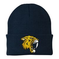 Knit Cap Thumbnail