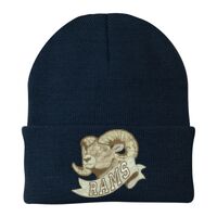 Knit Cap Thumbnail